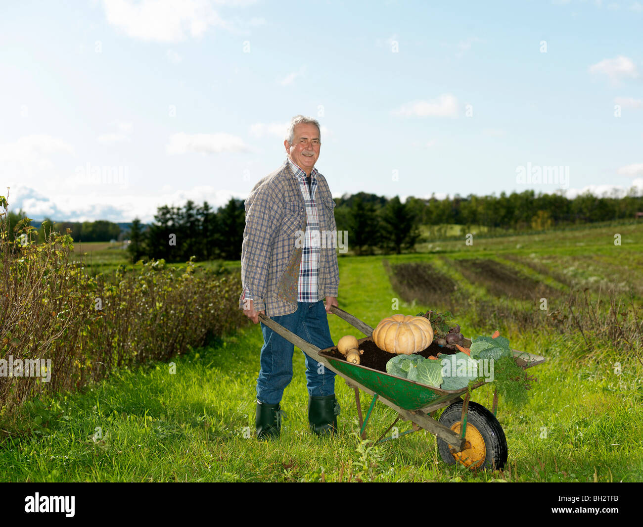 Old man pushing wheelbarrow full hires stock photography and images