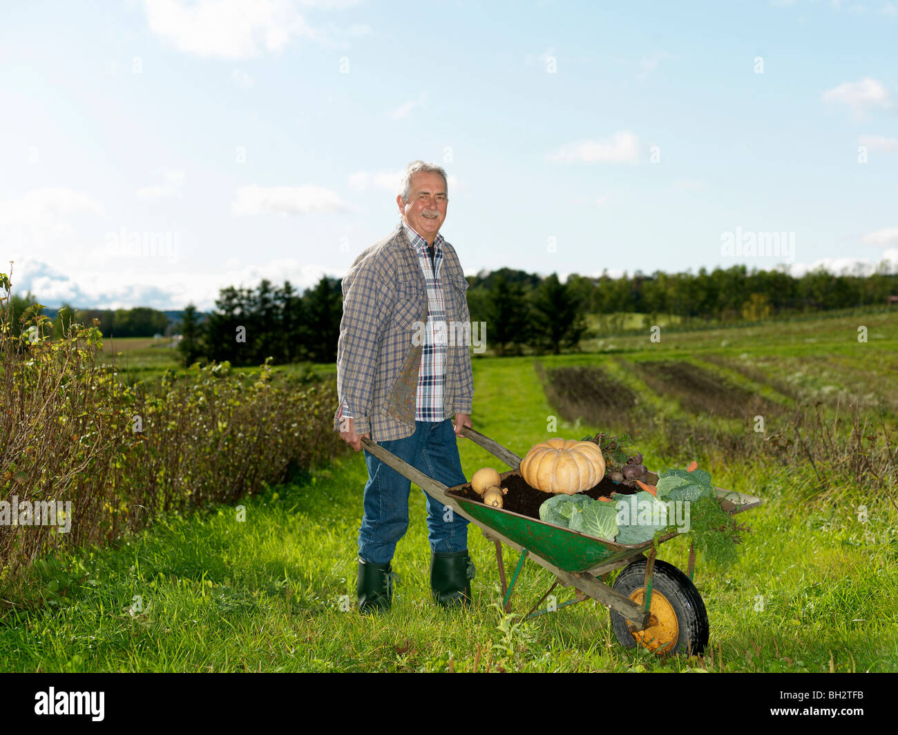 Mature man with wheelbarrow Stock Photo