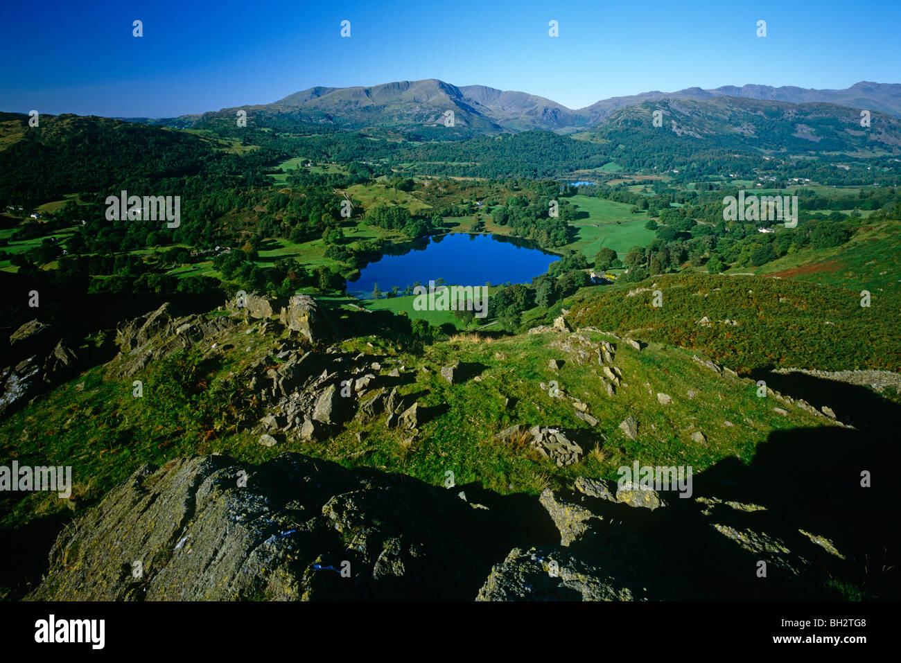 An early morning view of Loughrigg Tarn from Loughrigg Terrace near Ambleside in the Lake District National Park Stock Photo