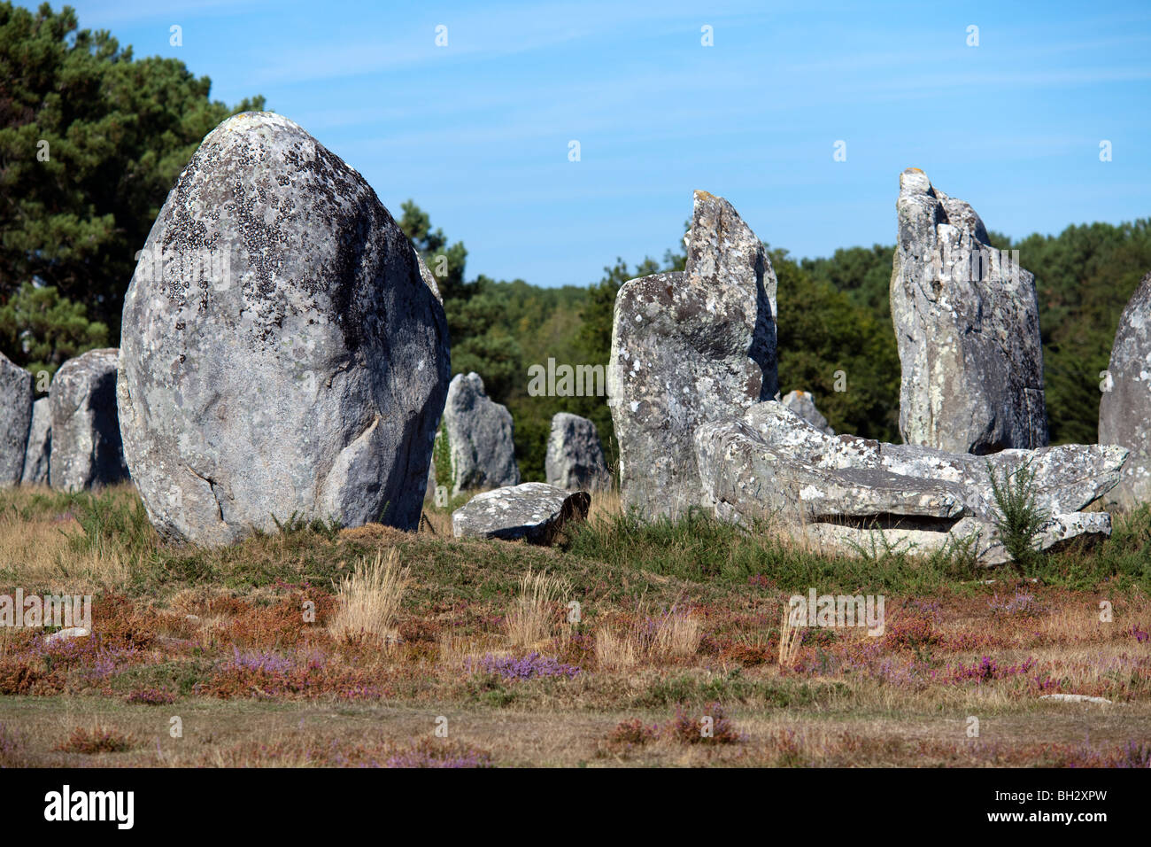 Megalithic alignment of Kermario, town of Carnac, departament of Morbihan, Brittany, France Stock Photo