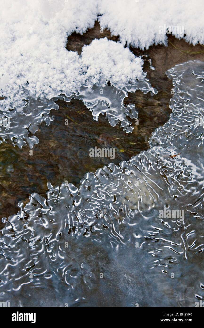 Icicles covered springs in Kazu Valley protected area in Priekulu ...