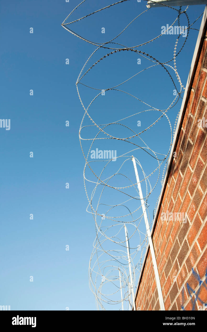 coiled razor wire on top of a brick wall Stock Photo - Alamy