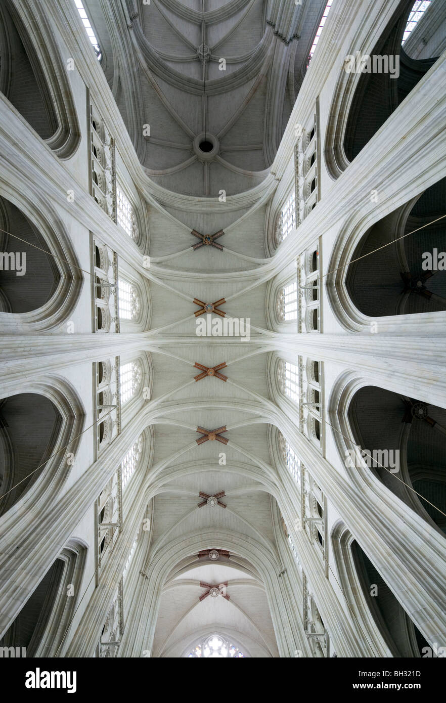 Ceiling of Saint Pierre Cathedral, Nantes, France Stock Photo