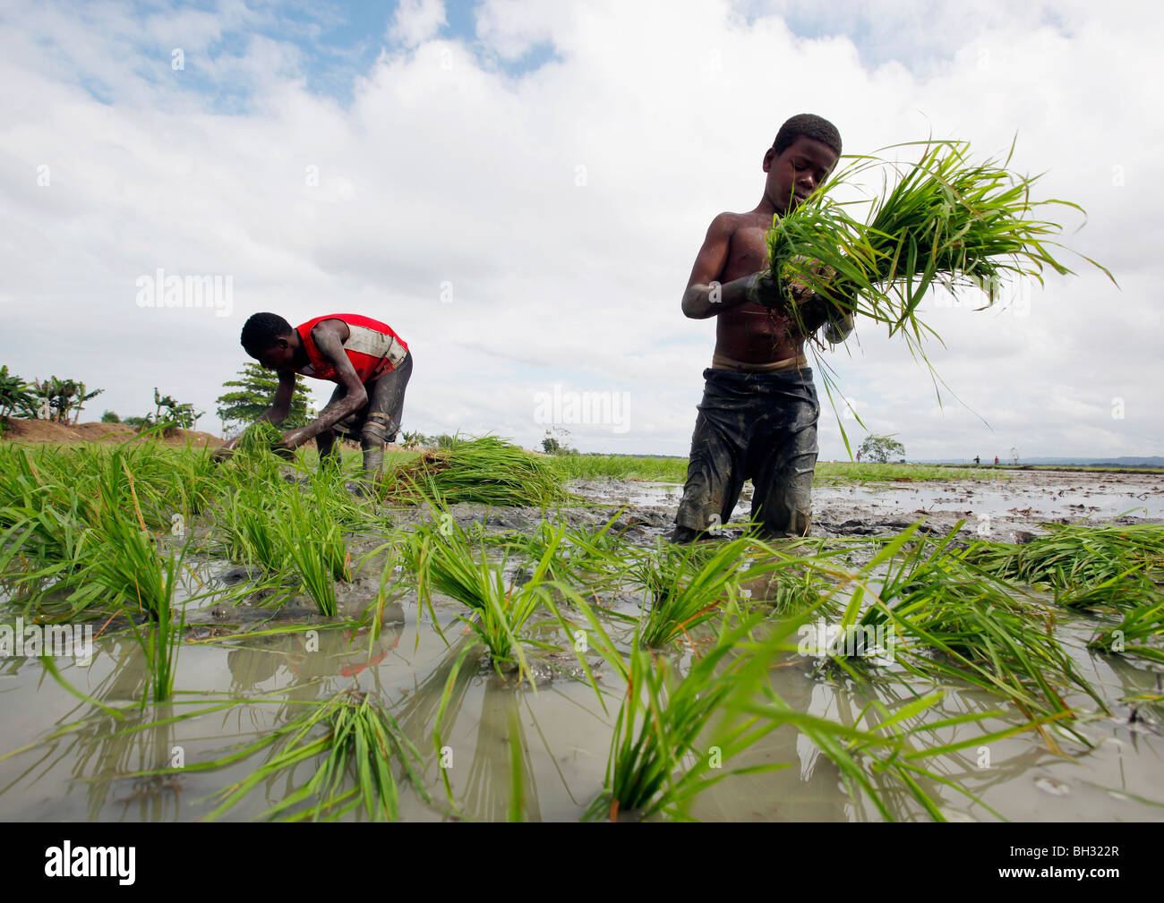 Haitian boy hi-res stock photography and images - Alamy