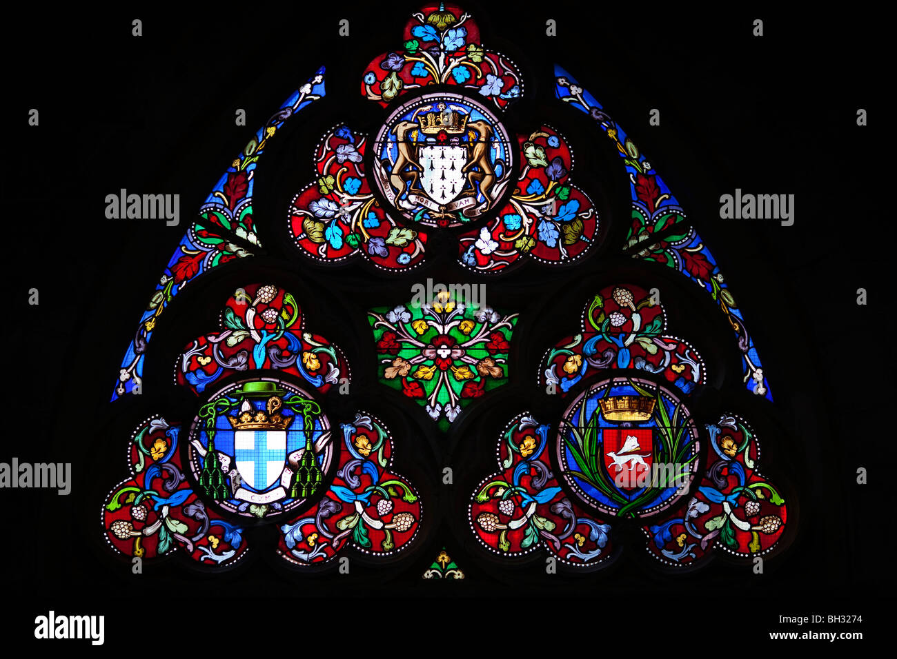 Stained glass window, Saint Pierre Cathedral, Vannes, department of Morbihan, region of Brittany, France Stock Photo