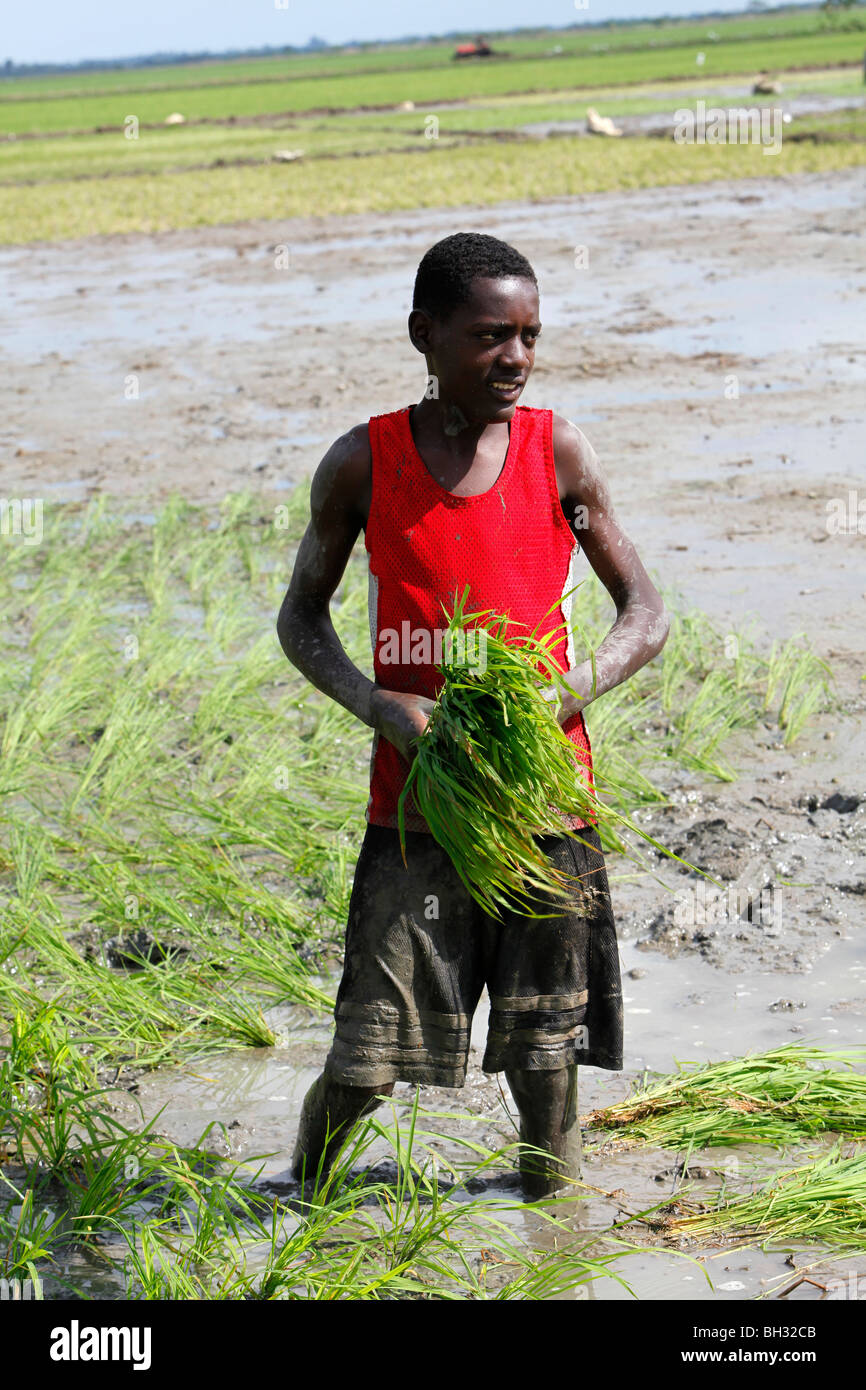 Haitian boy hi-res stock photography and images - Alamy