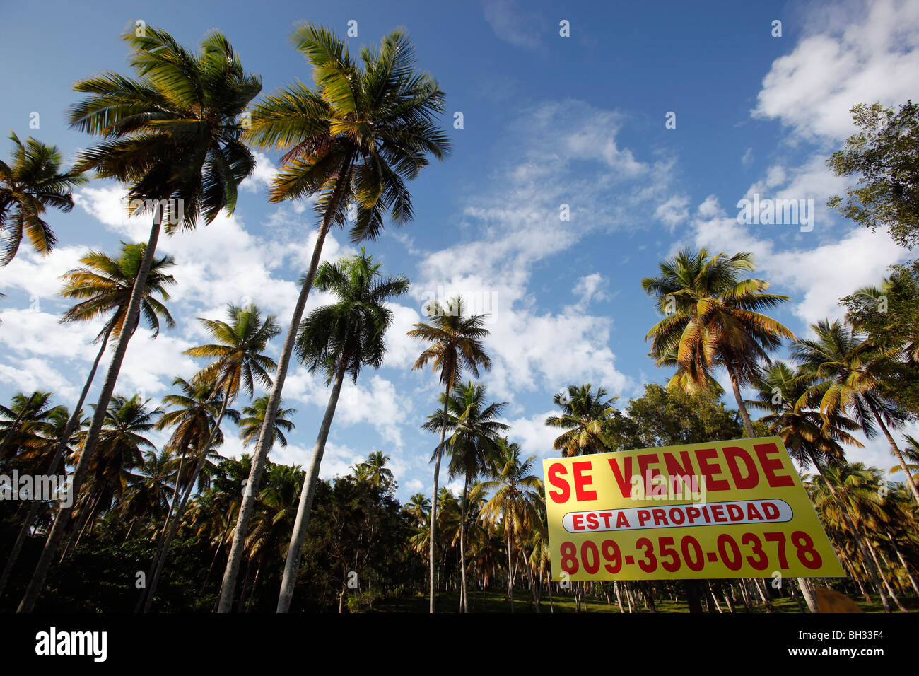 Tropical real estate for sale, Samana peninsula, Dominican Republic