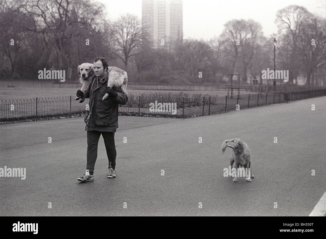 Walking the dog 1970s UK. Man walking with dog Hyde Park London, carrying an old dog across his shoulders, dog has mobility issues.  1979 England HOMER SYKES Stock Photo