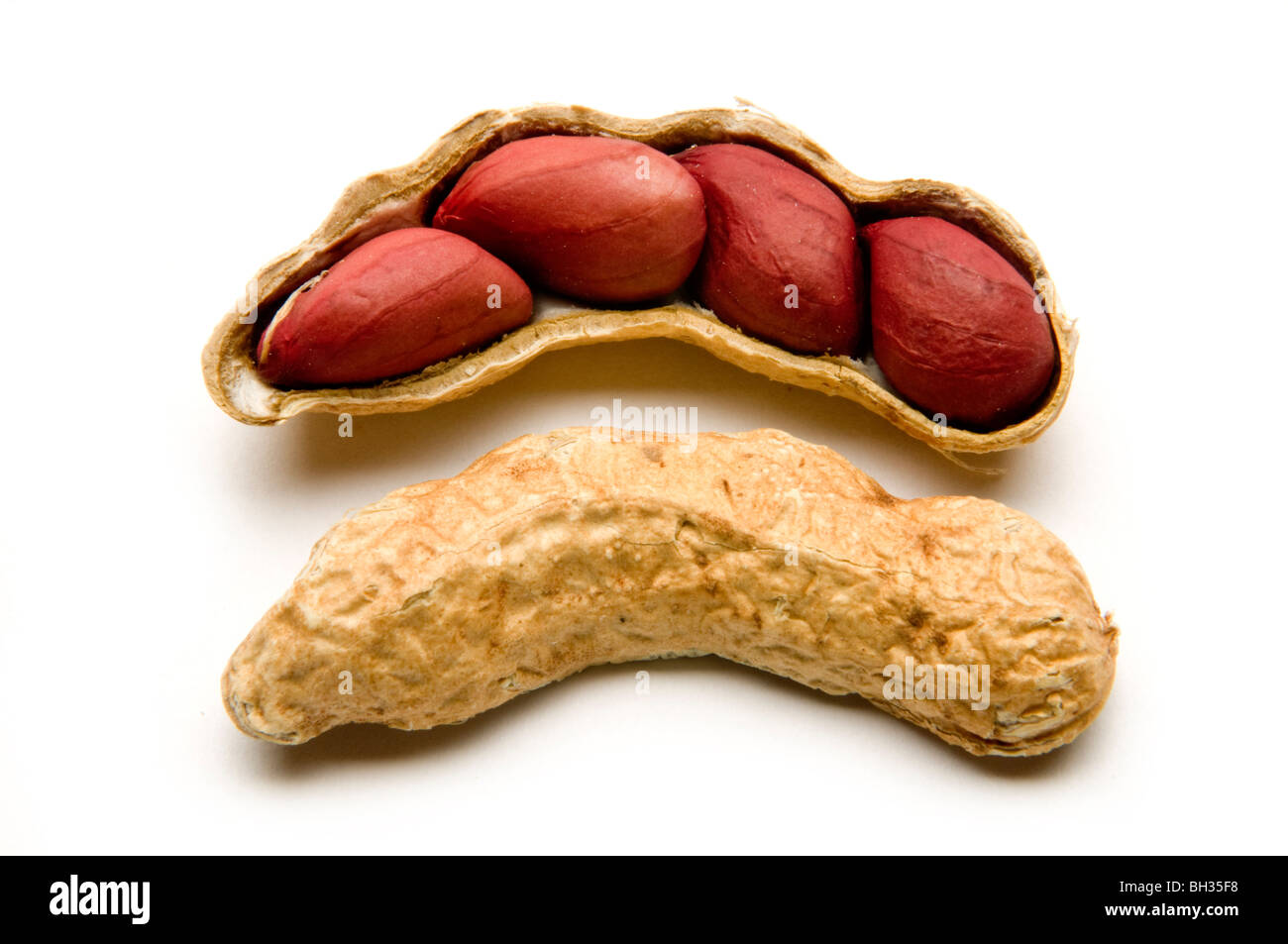 peanuts in open shell Stock Photo