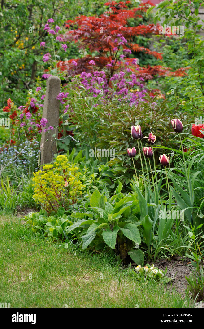 Perennial border in spring Stock Photo
