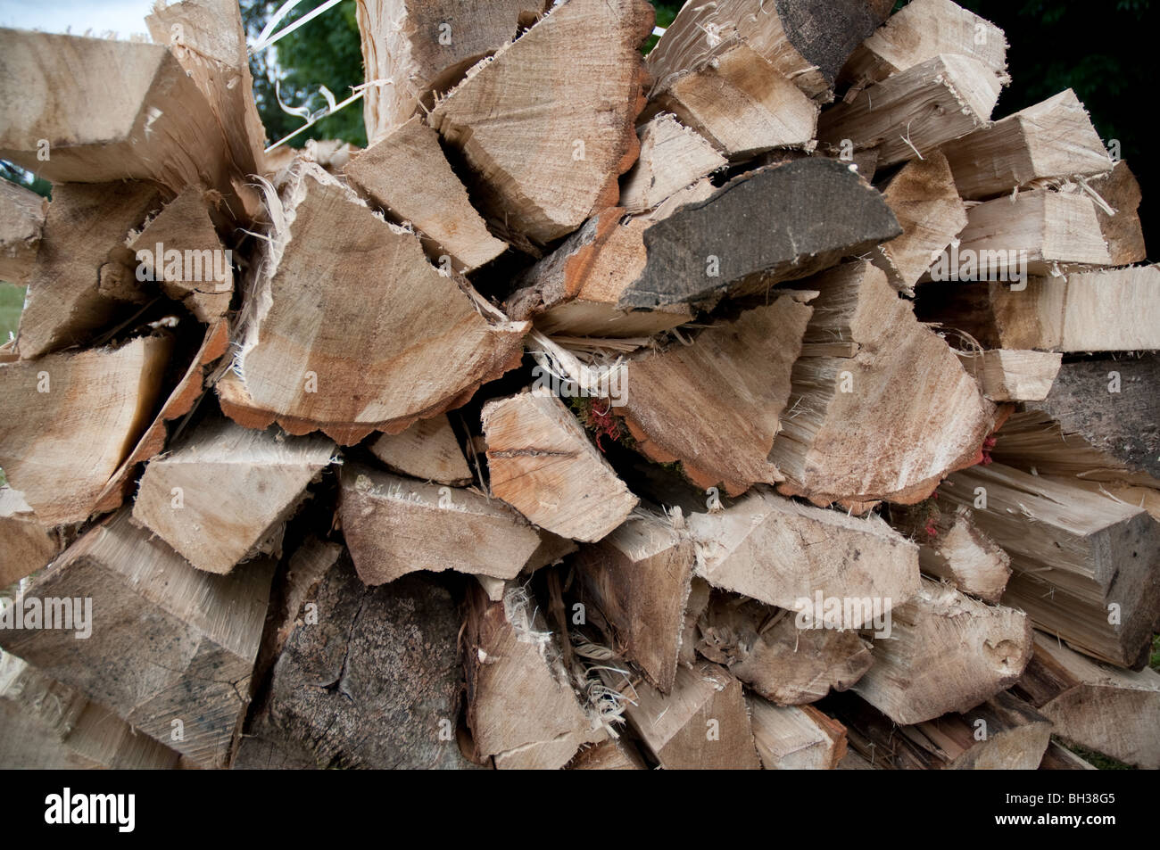 Split oak logs Stock Photo Alamy