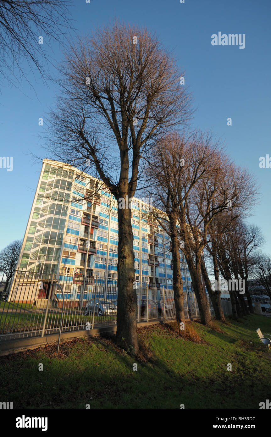 Typical British Council estate block of flats on a cold sunny winter day viewed from a Public park with large trees in front Stock Photo