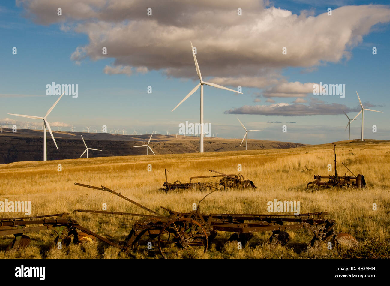 Goodnoe Hills Wind Farm Washington Photo by Bruce Forster Stock Photo