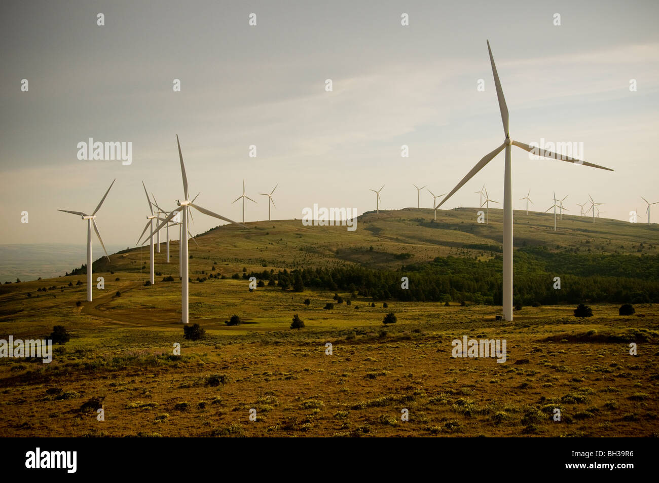 Windy Point Wind Farm in Klickitat County, Washington Photo by Bruce