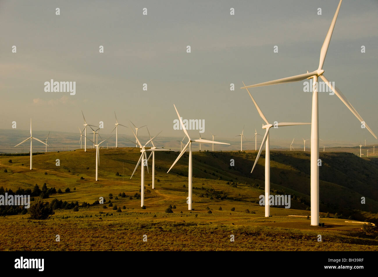 Windy Point Wind Farm in Klickitat County, Washington Photo by Bruce