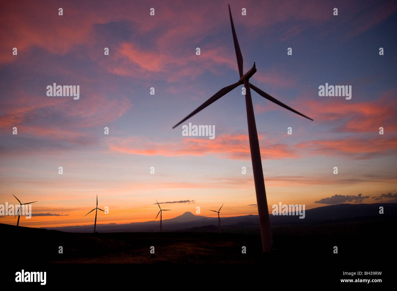 Windy Point Wind Farm in Klickitat County, Washington Photo by Bruce