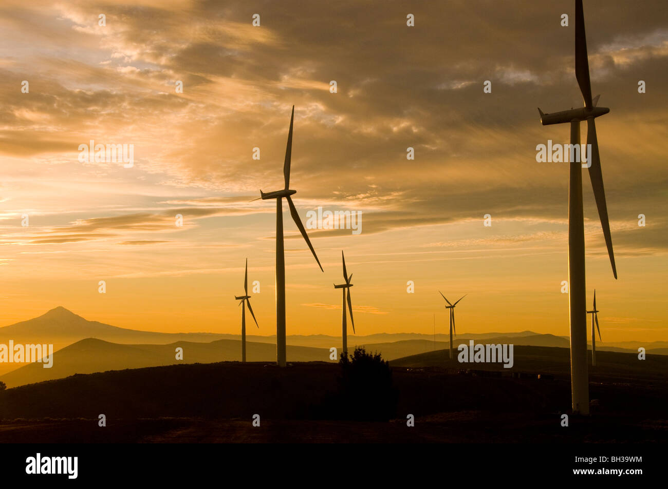 Windy Point Wind Farm in Klickitat County, Washington Photo by Bruce