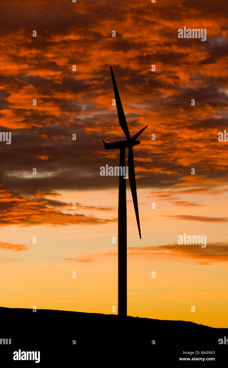 Windy Point Wind Farm in Klickitat County, Washington Photo by Bruce