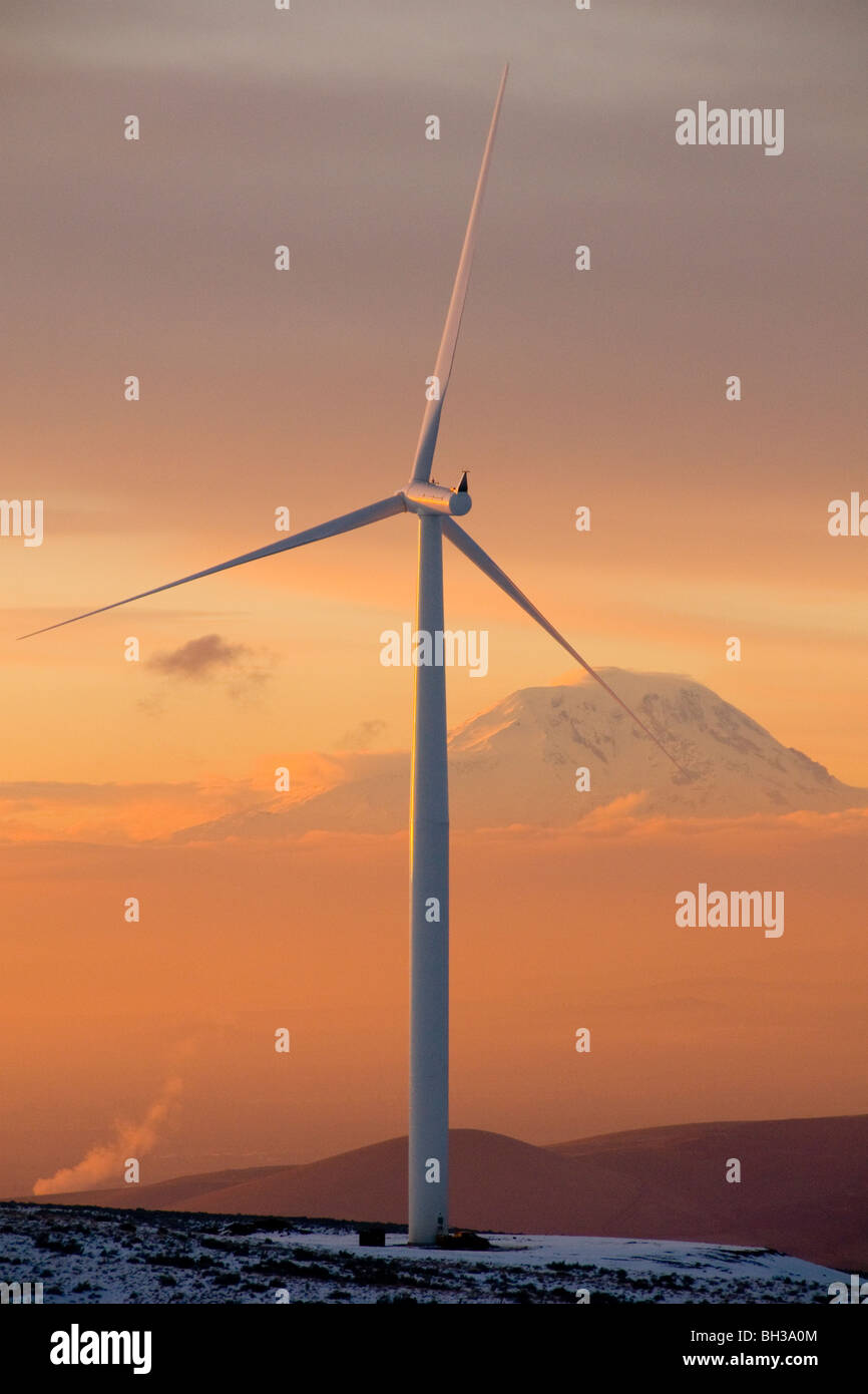 Windy Point Wind Farm in Klickitat County, Washington Photo by Bruce Forster 2009 Stock Photo