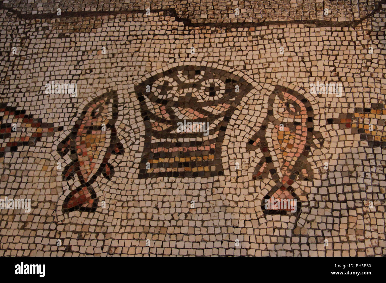 Israel, Sea of Galilee, Byzantine mosaic at the Church of the