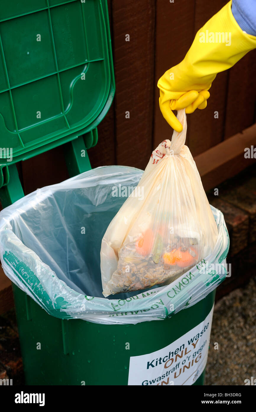 Food waste bin kitchen hires stock photography and images Alamy