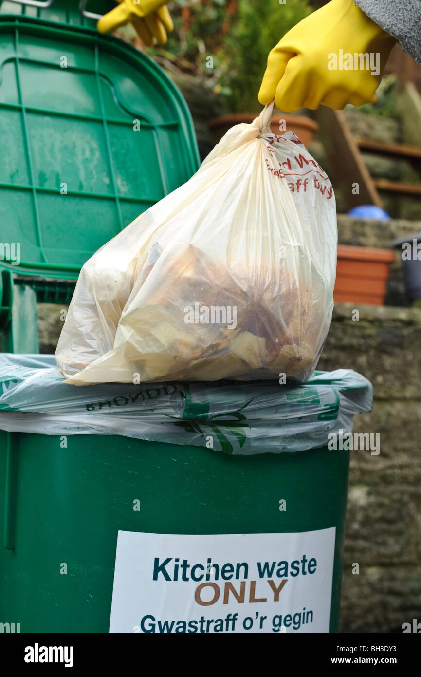 https://c8.alamy.com/comp/BH3DY3/adding-food-scraps-and-peelings-to-kitchen-recycling-bin-BH3DY3.jpg