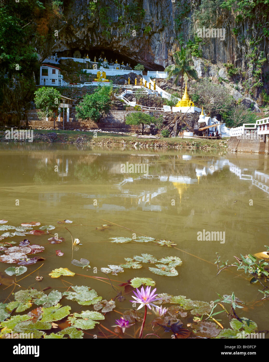 Lake with water  lily  in front of the Yathaypyan Cave Seerosenteich vor der Yathaypyan Höhle Myanmar Burma Stock Photo