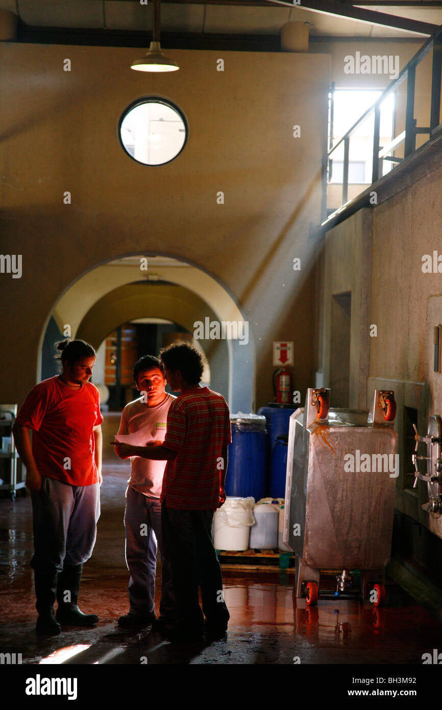 People at the fermentation facilities in the Vistalba Winery, Lujan de Coyu, Mendoza, Argentina. Stock Photo