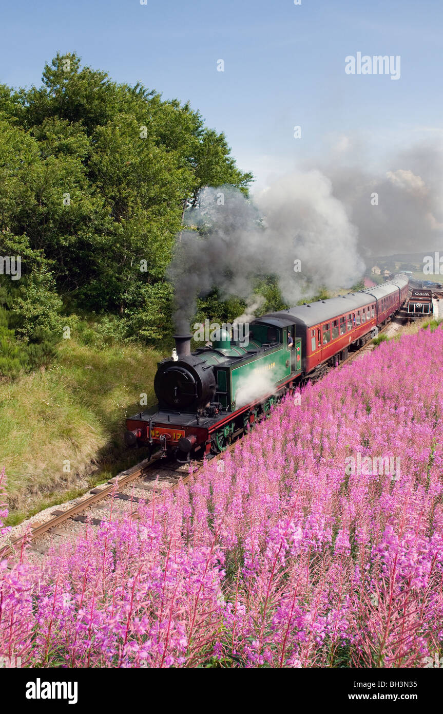 steam engine braeriach at broomhill station on the strathspey railway