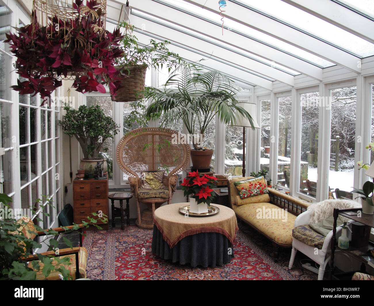 White painted hardwood conservatory with plants and furniture in mid