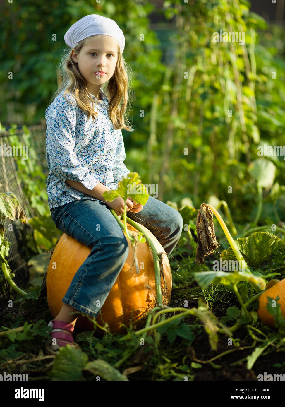 Young girl sitting on a pumpkin Stock Photo - Alamy