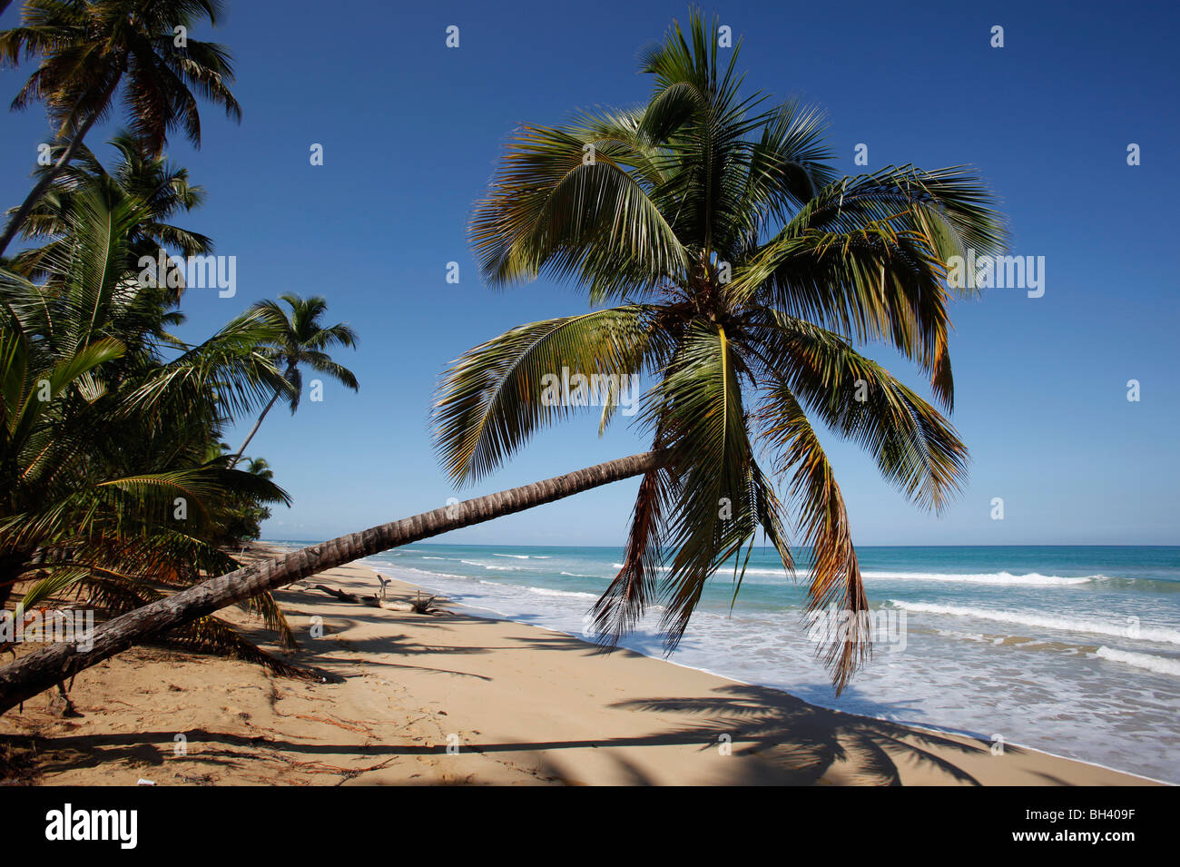 Tropical beach, Coson, near Las Terrenas, Samana peninsula, Dominican Republic Stock Photo