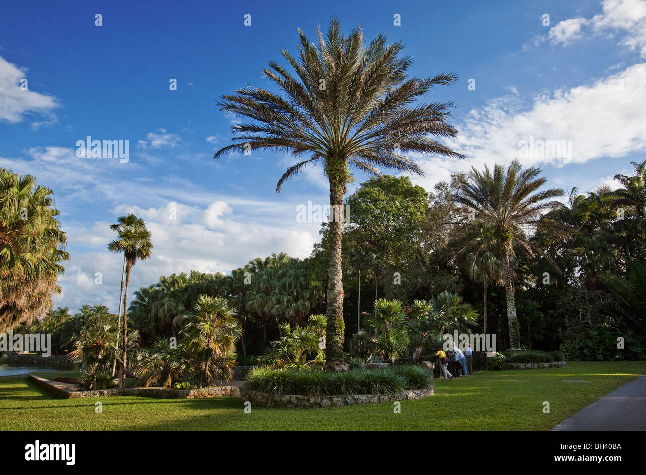 Fairchild Tropical Botanic Garden - Fairchild Tropical Botanic Garden Florida BH40BA 