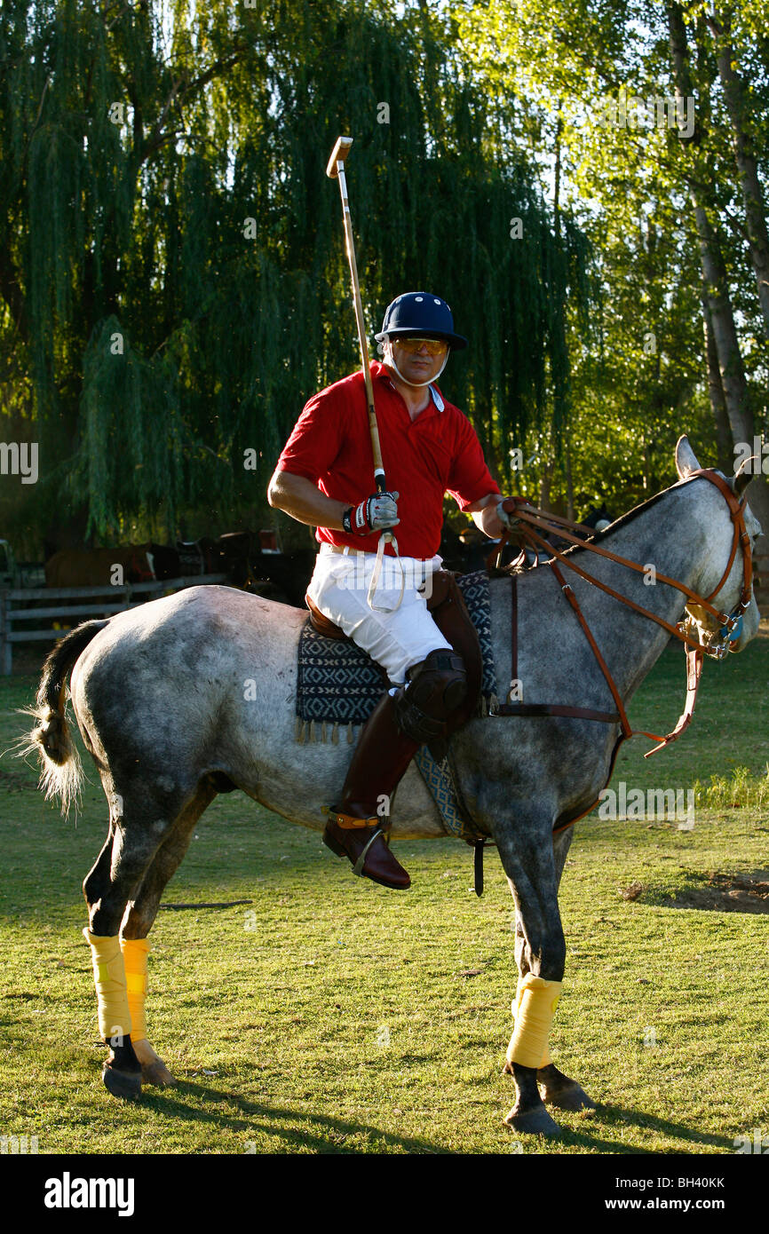 Portrait of a polo player on a horse, Lujan de Cuyo, Mendoza region, Argentina. Stock Photo