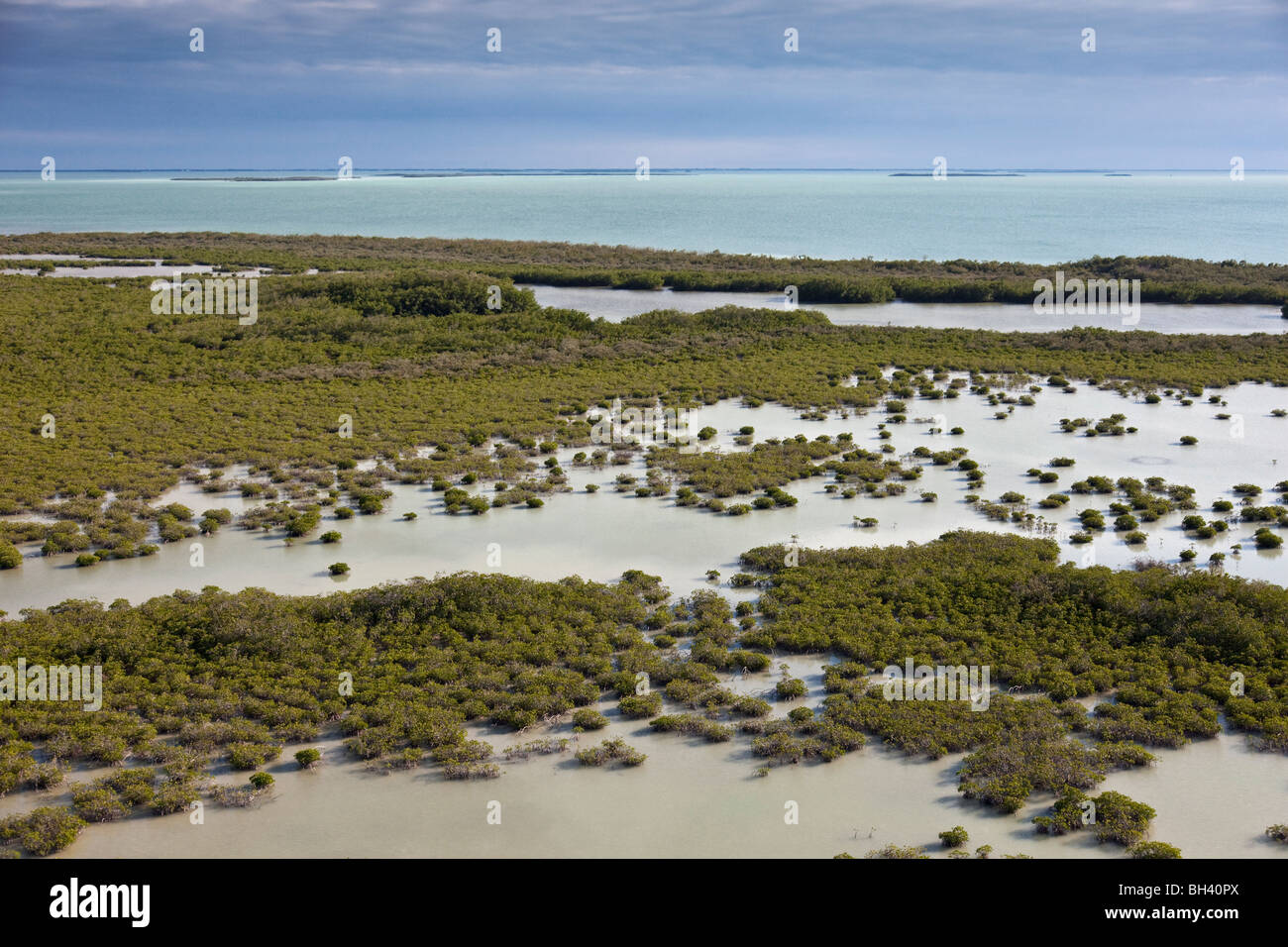 Everglades National Park is a national park in Florida.  It is the largest subtropical wilderness in the United States. Stock Photo