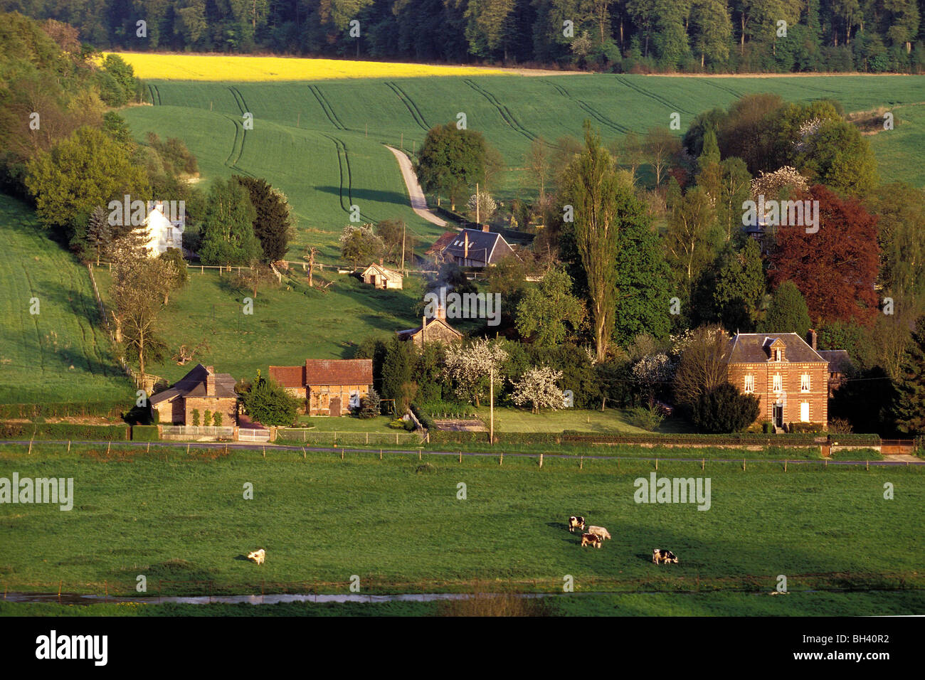 NORMANDY BOCAGE, REGION OF LYONS-LA-FORET, EURE (27), NORMANDY, FRANCE Stock Photo