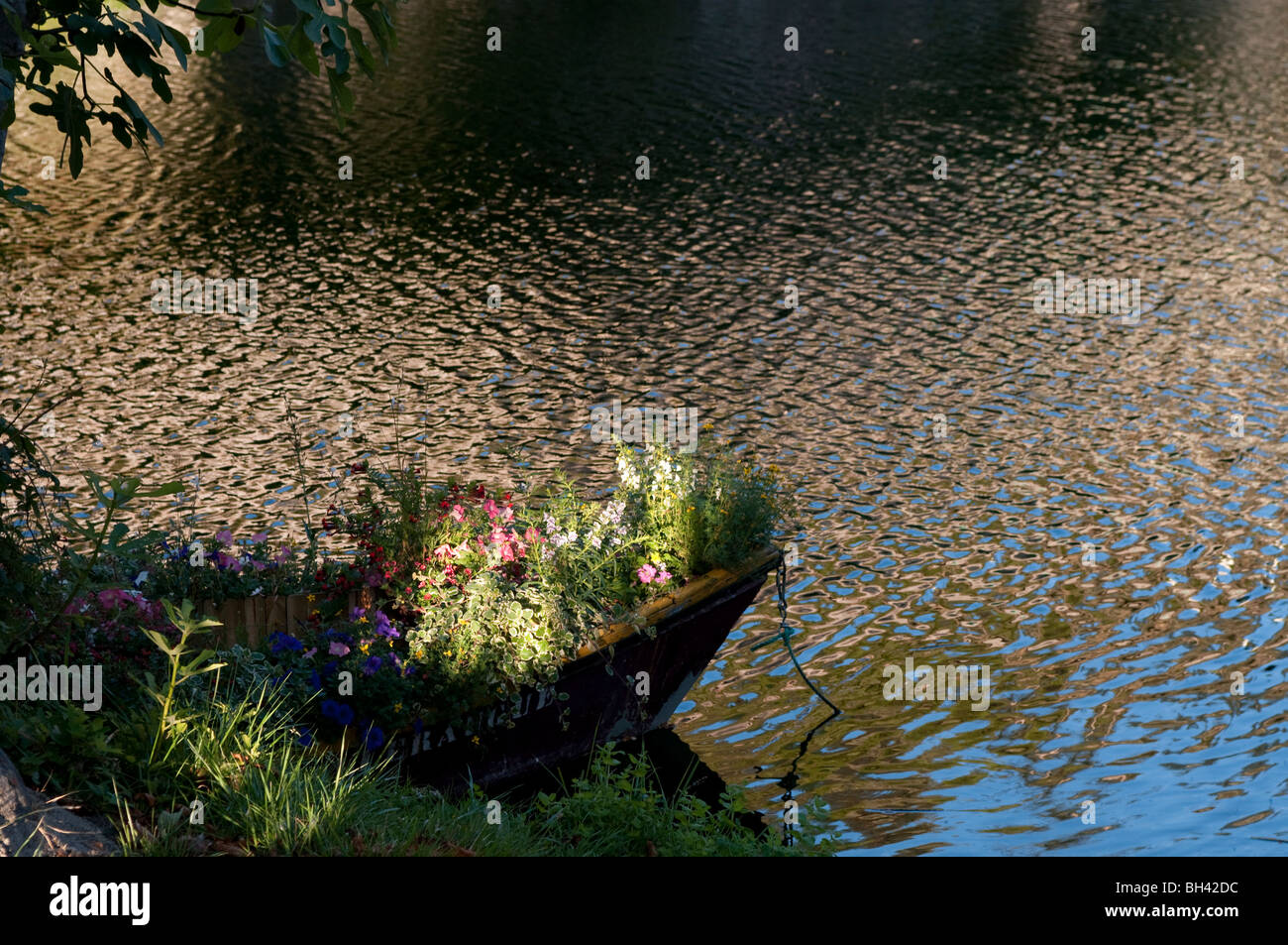 Boat filled with flowers on the river in Valleraugue village, Cevenne, France Stock Photo