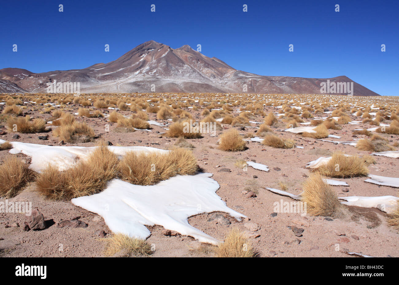 snow on the chilean altiplano Stock Photo