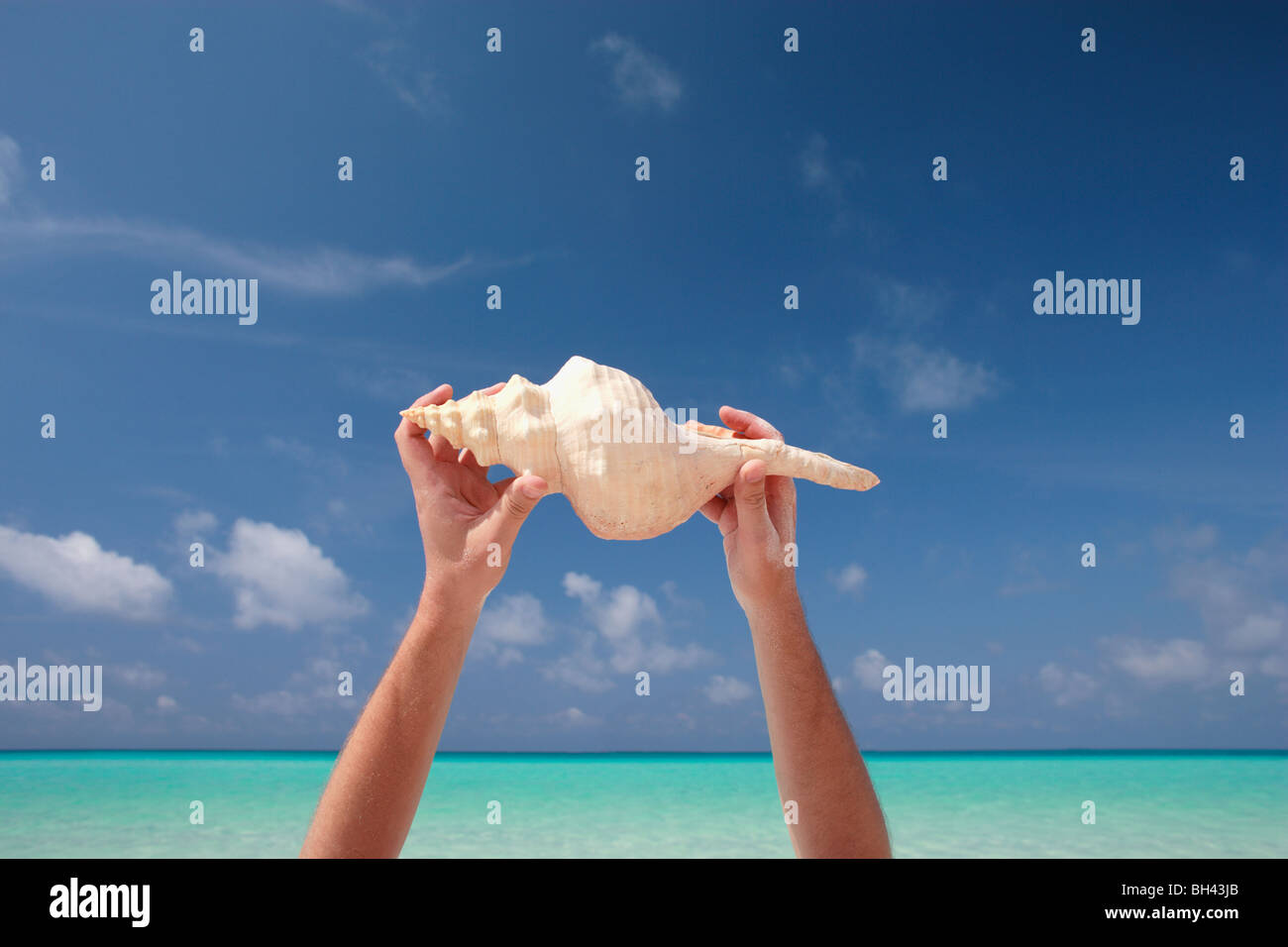 Man's hands holding a large sea shell in the air on a deserted tropical beach Stock Photo