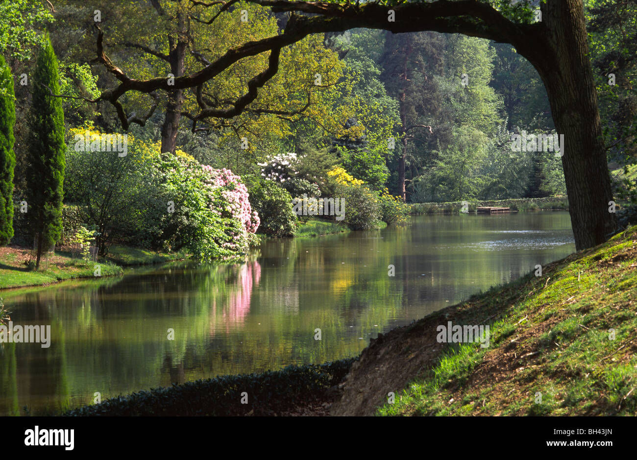 Wide-angle backlighting view across one of the lakes in early summer. Stock Photo