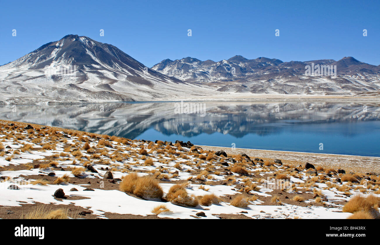 Laguna Miscanti Chile Stock Photo - Alamy