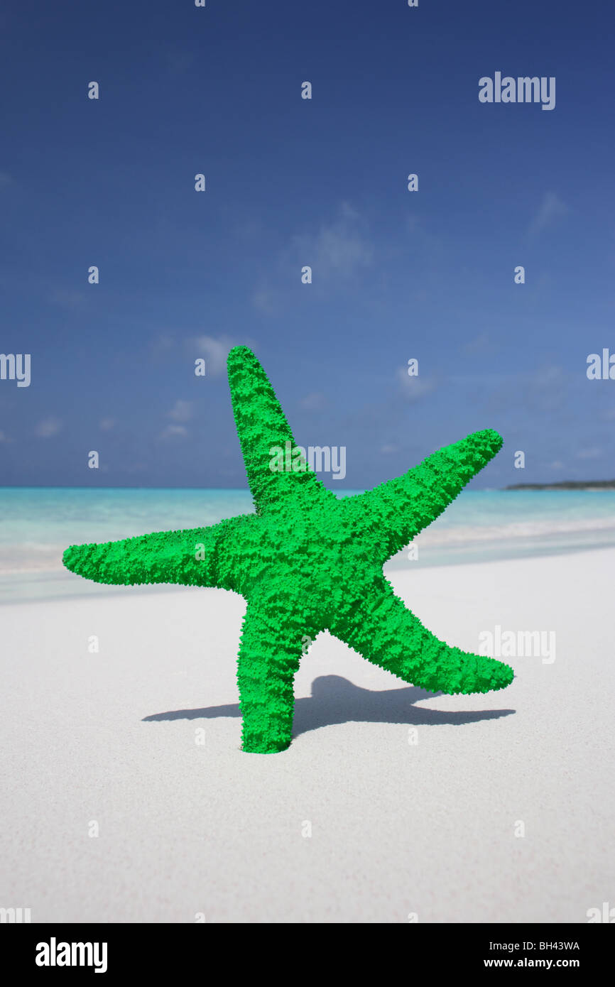 Starfish on the sand on a deserted tropical beach Stock Photo