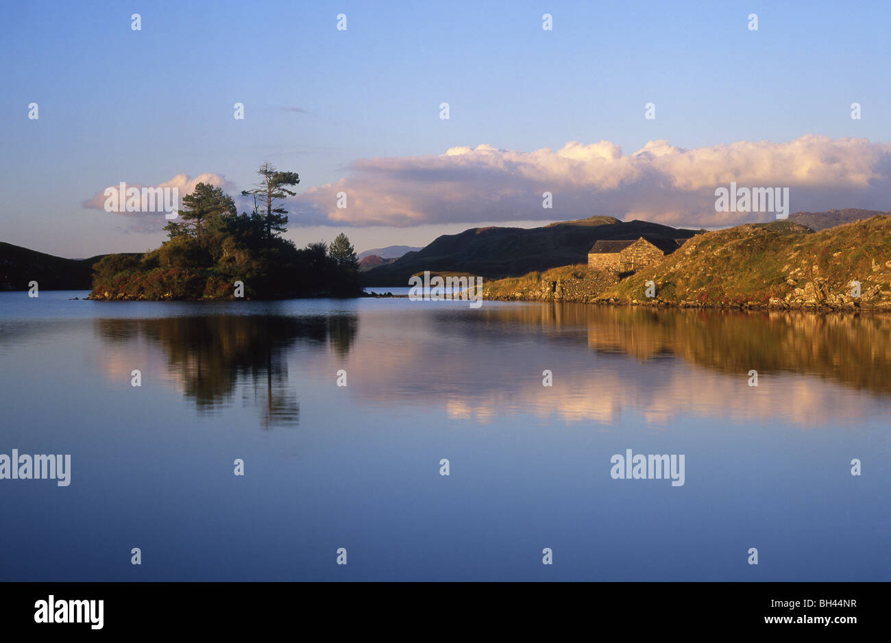 Llynnau Cregennen Island reflected in lake Snowdonia National Park Gwynedd Mid Wales UK Stock Photo