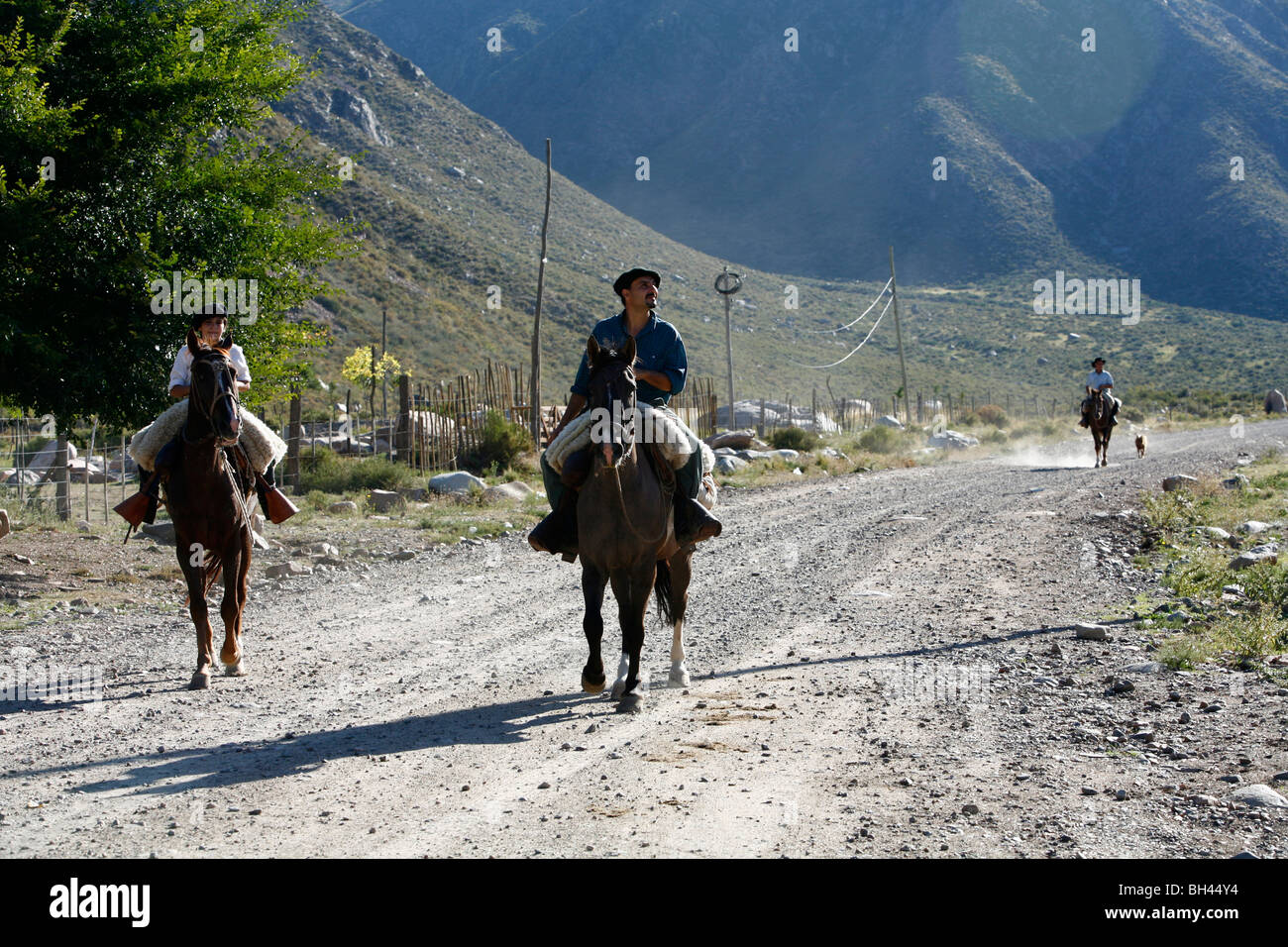 Gauchos riding horses at Valle de Uco, Mendoza region, Argentina. Stock Photo