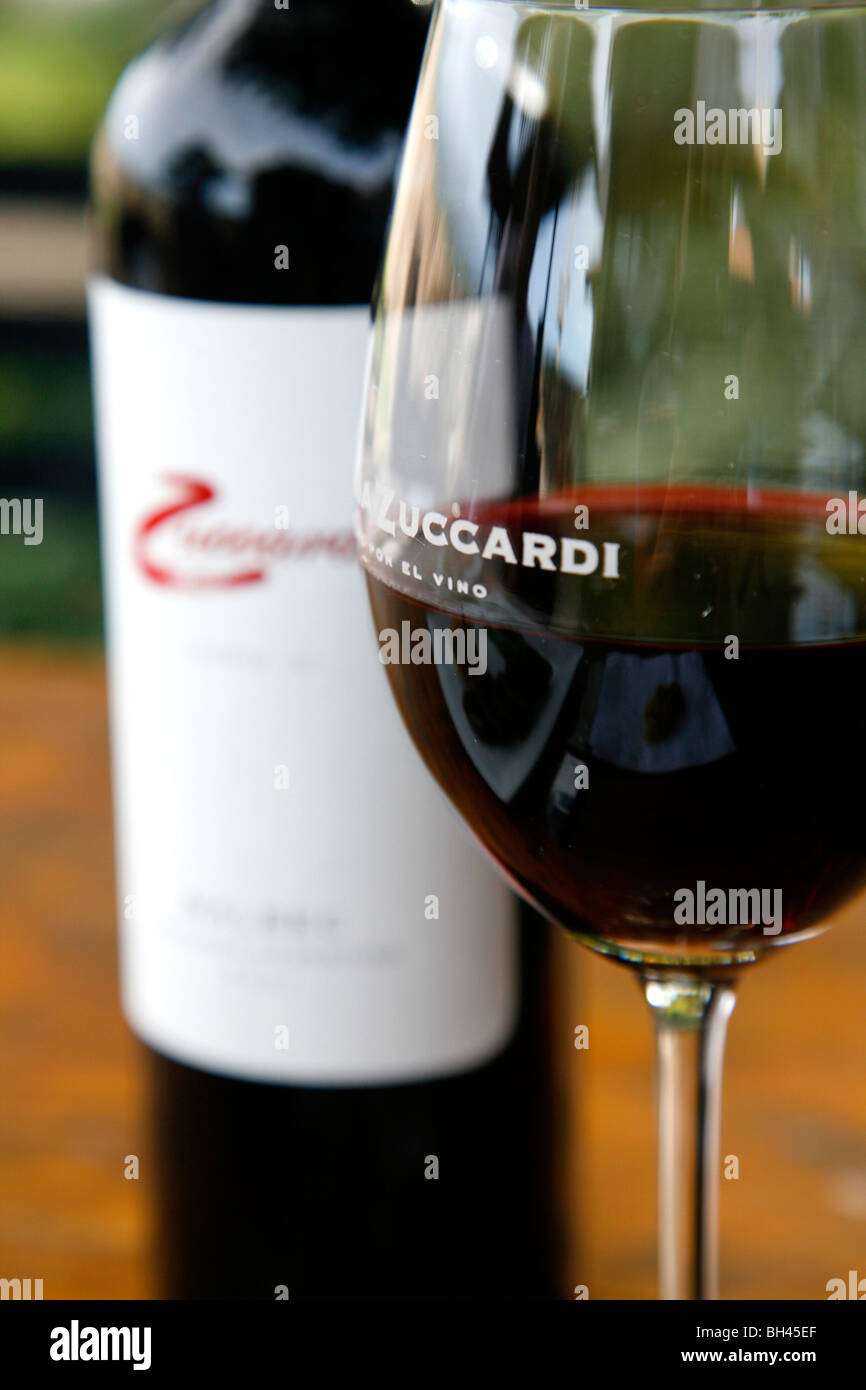 Glass of Malbec red wine, Mendoza, Argentina Stock Photo Alamy