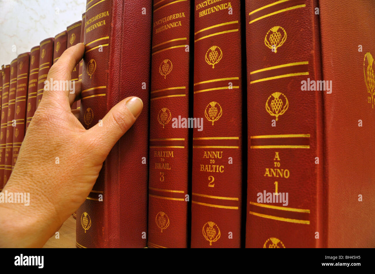 Close up of a person's hand selecting  a volume from a series of  Encyclopedia Britannica books. Stock Photo