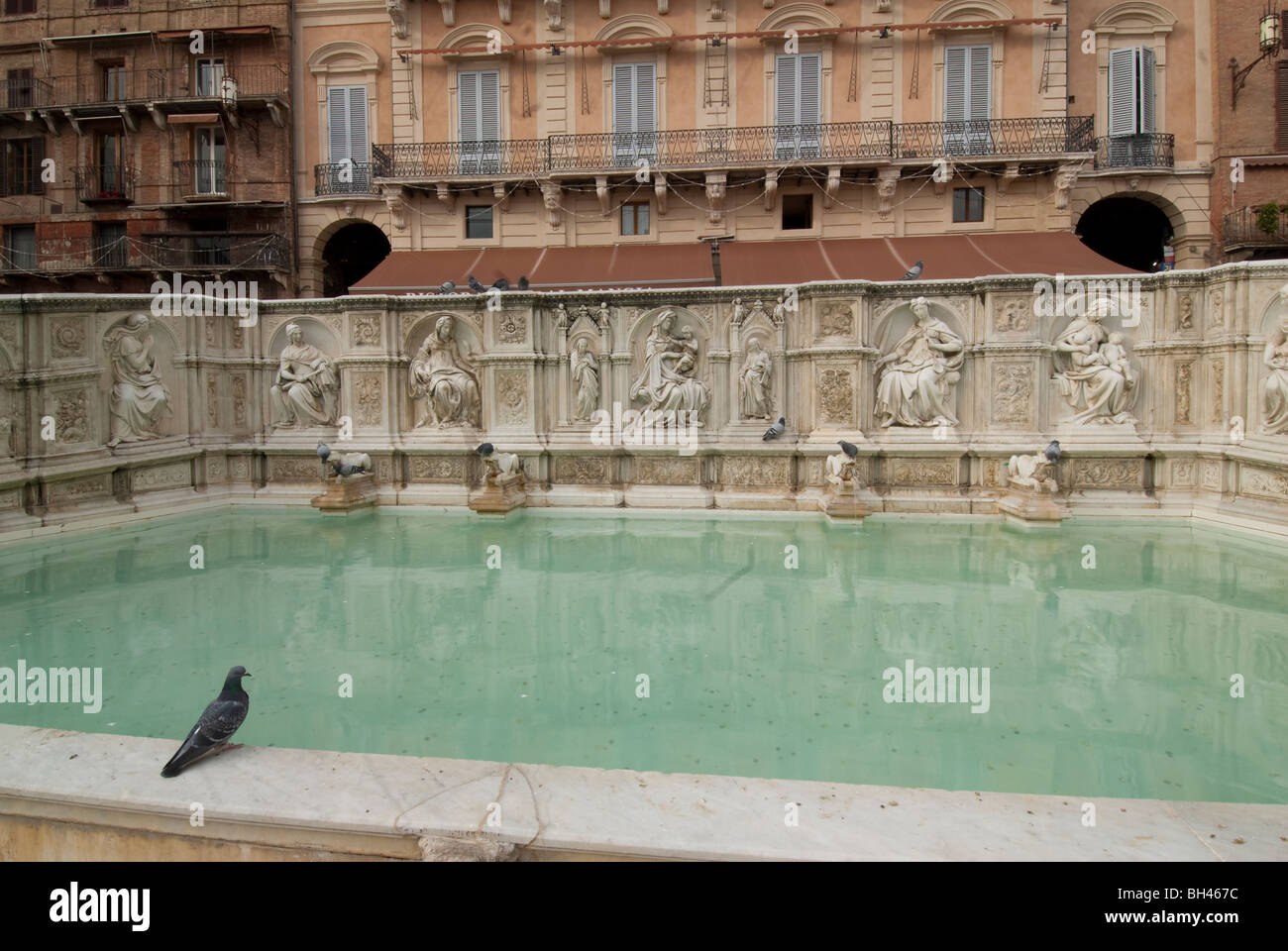 fontana piazza del campo siena
