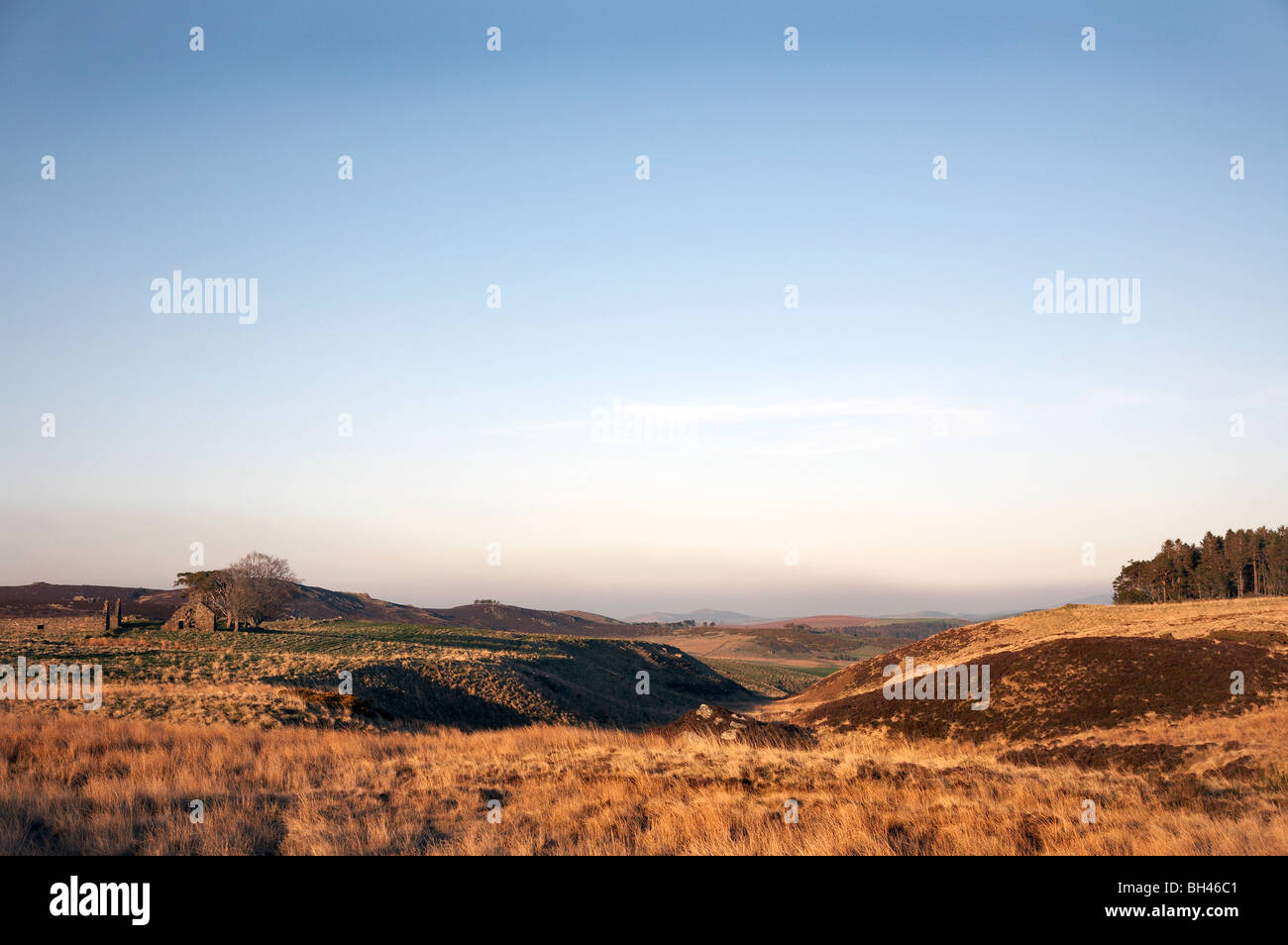 Croft ruins in the eerie landscape of the Cabrach. Stock Photo