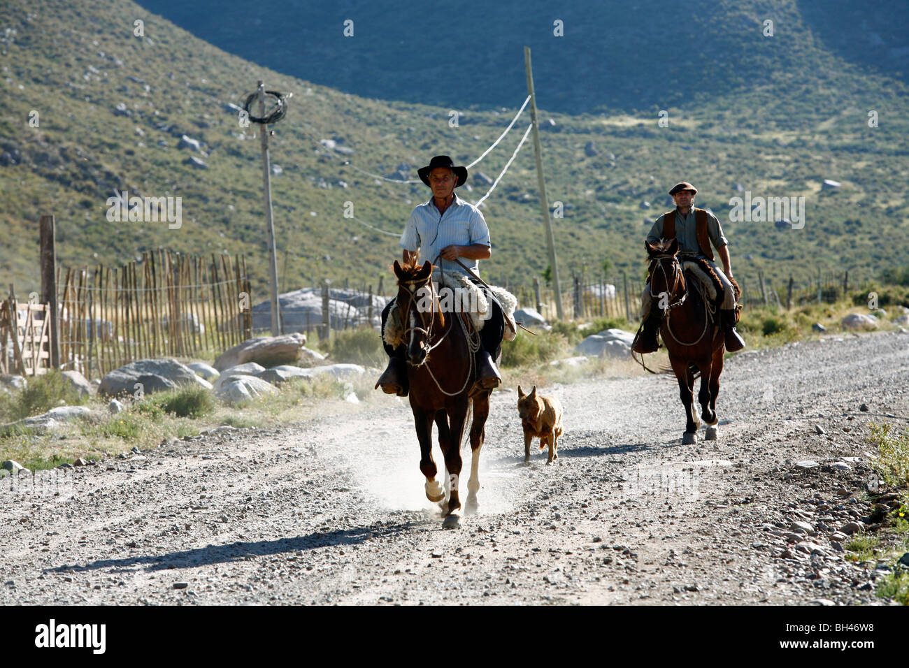 Gauchos riding horses at Valle de Uco, Mendoza region, Argentina. Stock Photo