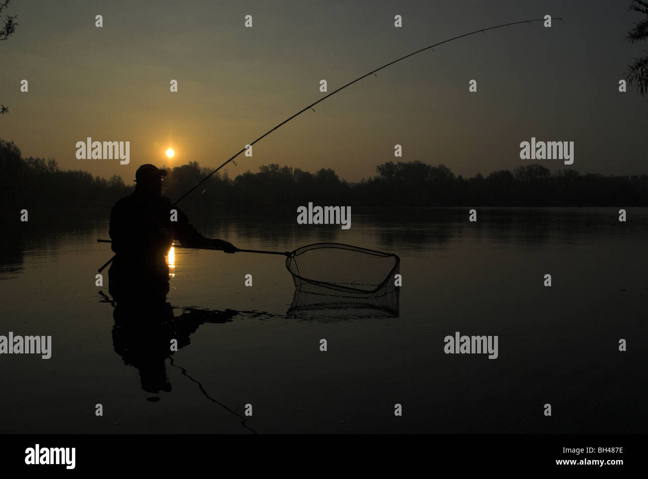 An angler nets a fish at sunrise. Stock Photo